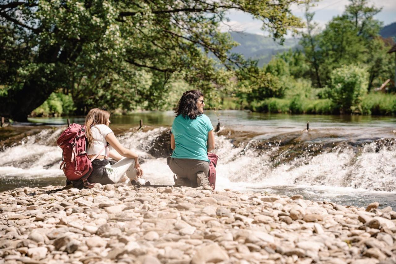 Wellness Pension Am Rain Winden im Elztal Exteriér fotografie